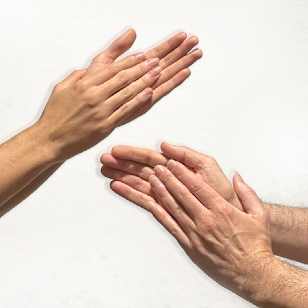 PALMES FLAMENQUES - AVAN�AT