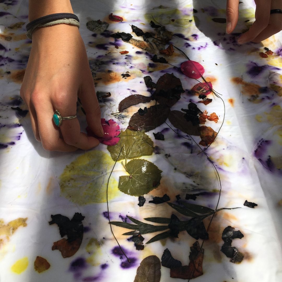 ESTAMPACI� BOT�NICA I TINTS NATURALS