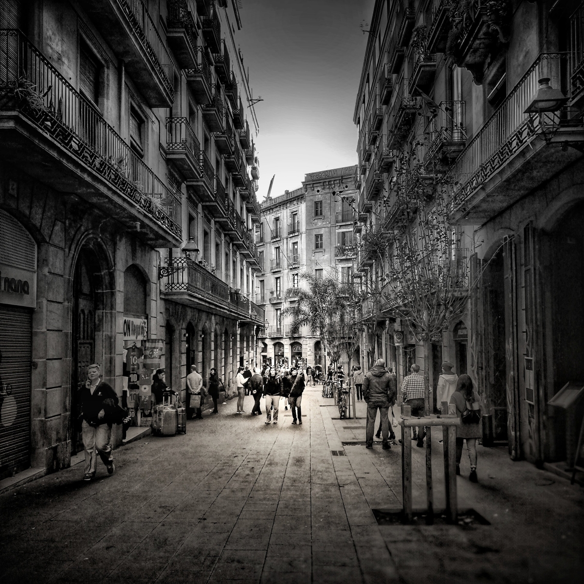 MOSTRA COL�LECTIVA DE FOTOGRAFIA