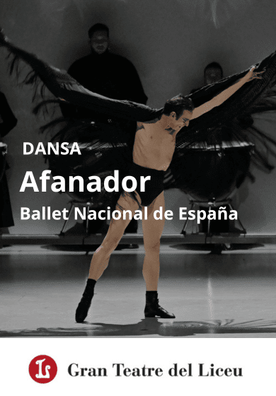 Ballet Nacional de Espa�a: Afanador