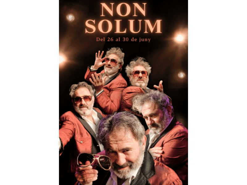 Non Solum