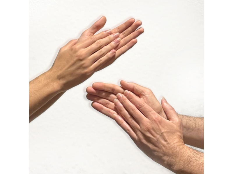 PALMES FLAMENQUES - AVANÇAT