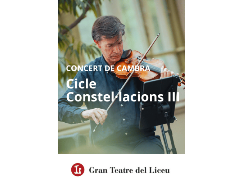 Cicle Constel·lacions III