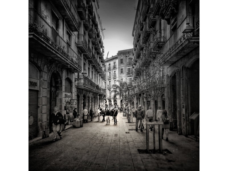 MOSTRA COL·LECTIVA DE FOTOGRAFIA